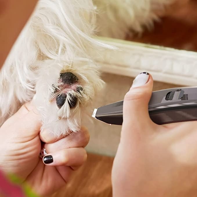 Mini Pet Trimmer🔥Quiet and Safe🔥