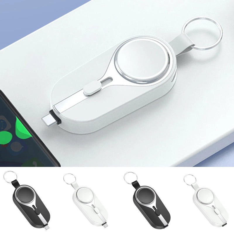 New 2-in-1 Portable Emergency Keychain Charger