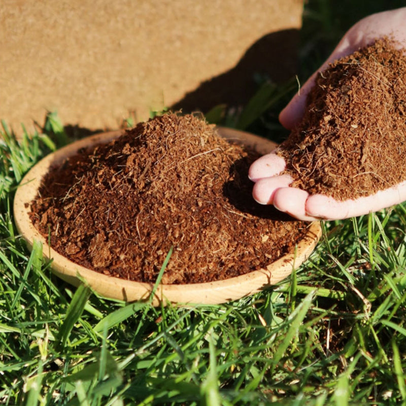 🌷Spring Sale - 49% OFF🌷Organic Coconut Coir for Plants