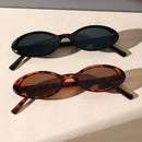 Sleek Oval Sunglasses