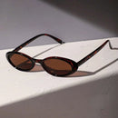 Sleek Oval Sunglasses