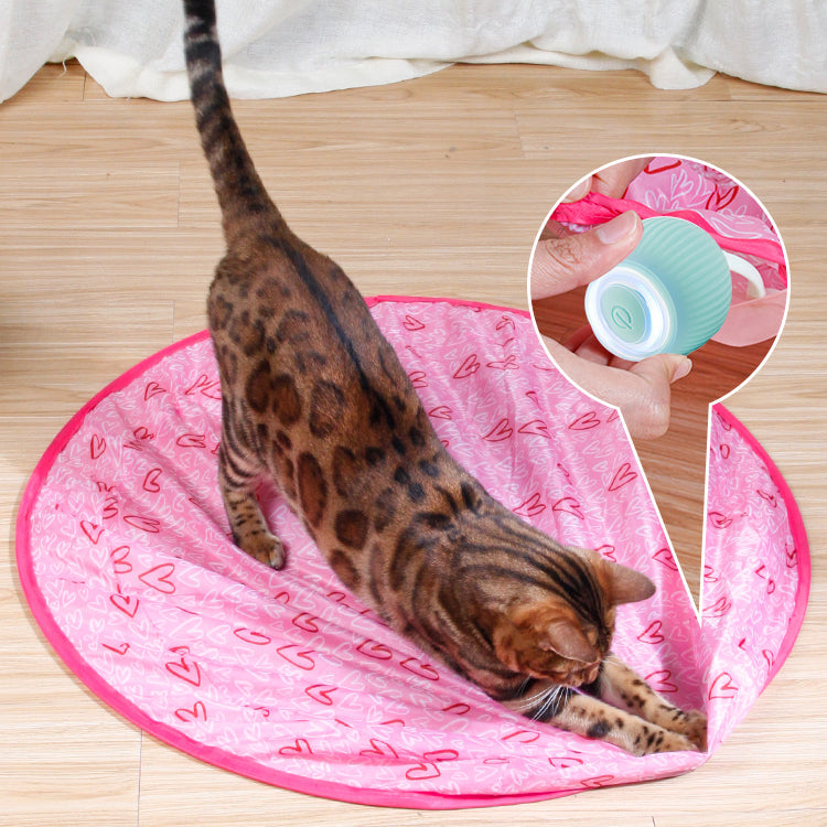 🔥49% OFF NOW🐱2 in 1 Simulated Interactive Hunting Cat Toy