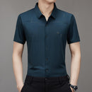 Men's Ice Silk Business Shirt