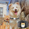 Multi-purpose Pet Collar Locator