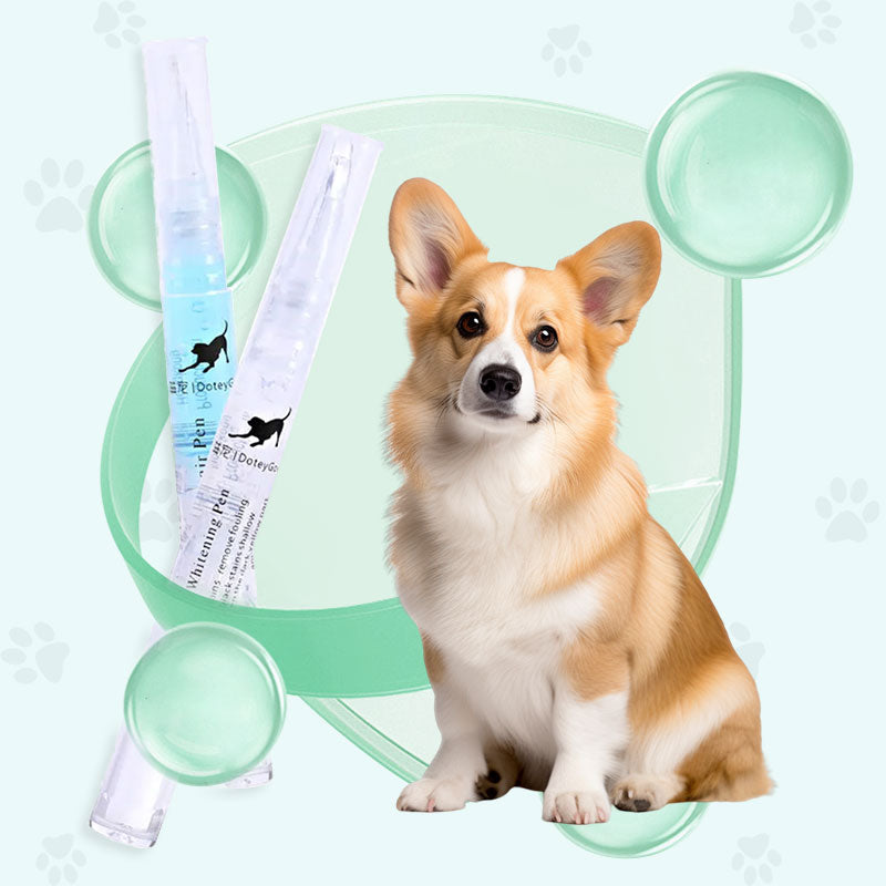 Pet Tooth Whitening Cleaning Pen Set