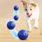 🎯Hot Sale 49% OFF Today🔥Rechargeable Pet Interactive Motion Ball with Lights - vimin