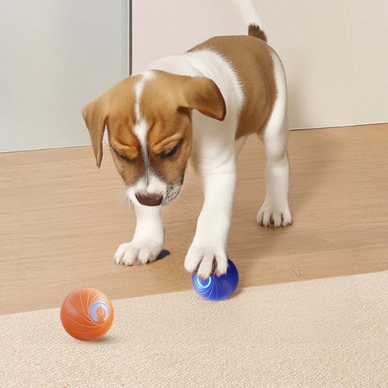 🎯Hot Sale 49% OFF Today🔥Rechargeable Pet Interactive Motion Ball with Lights - vimin