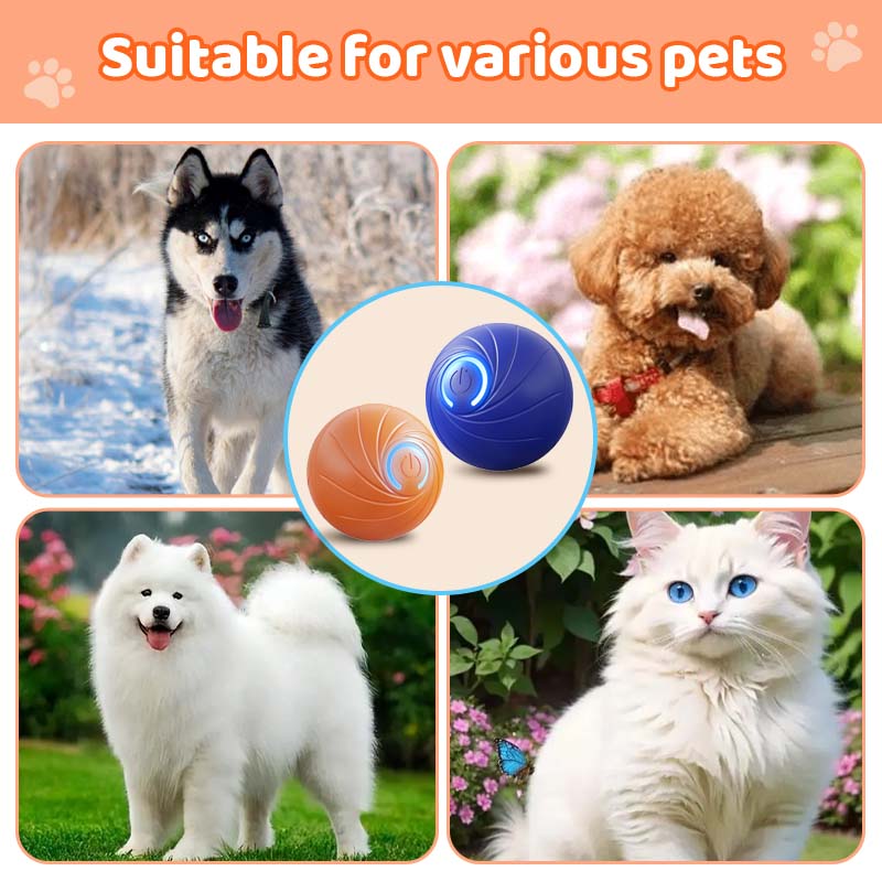 🎯Hot Sale 49% OFF Today🔥Rechargeable Pet Interactive Motion Ball with Lights - vimin