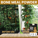 Organic Bone Meal Fertilizer for Plants